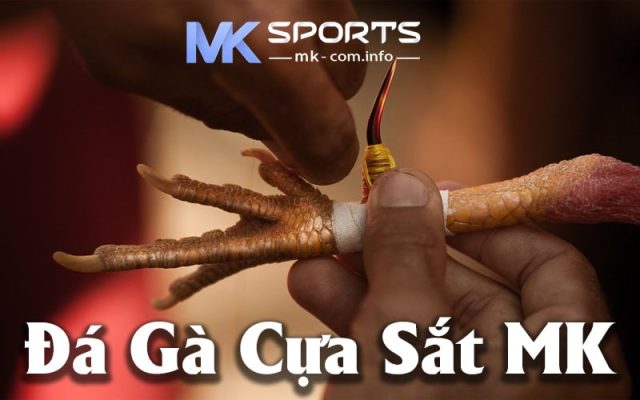 Đá Gà Cựa Sắt Tại MK - Hướng Dẫn Chi Tiết